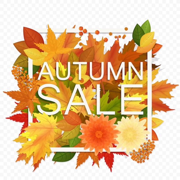 Autumn sale discount banner