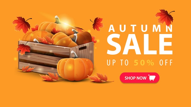 Autumn sale, discount orange web banner 