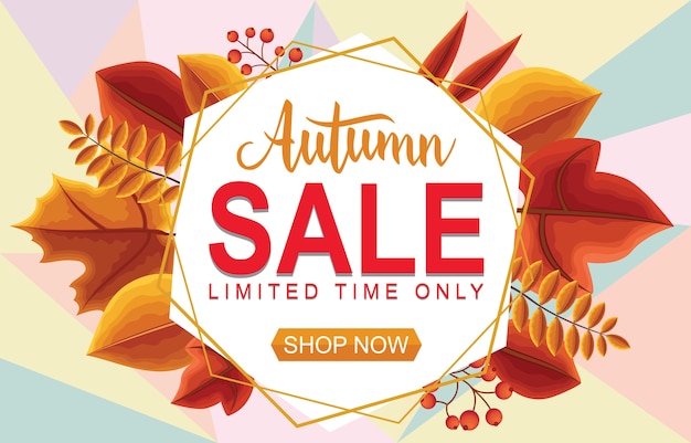 Vector autumn sale fall leaves shopping promotion card label banner