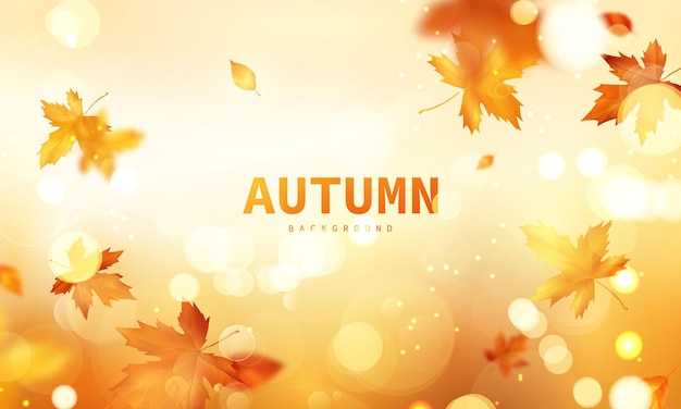 Autumn sale falling leaves background nature