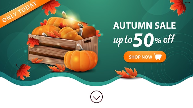 Autumn sale, green web banner template with button