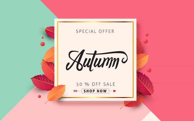 Vector autumn sale layout decorate with leaves for shopping sale web banner.