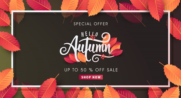 Vector autumn sale layout decorate with leaves for shopping sale web banner.