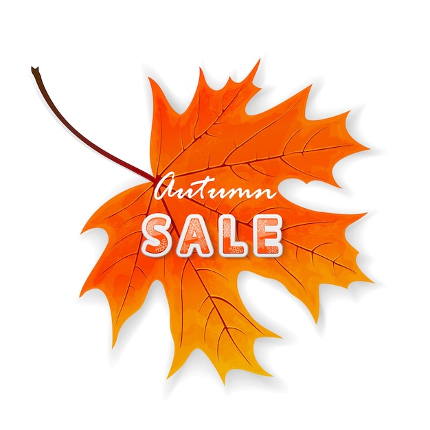 Autumn sale on maple leaf