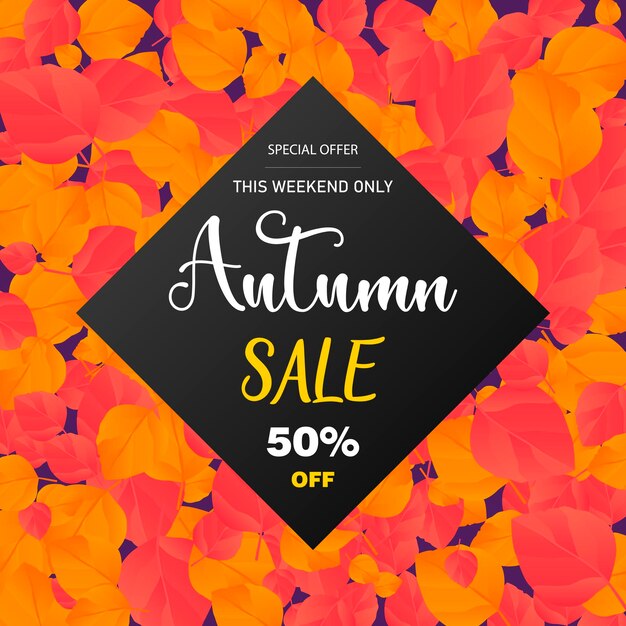 autumn sale poster or september shopping promo banner for autumnal discount. poster, card, flyer