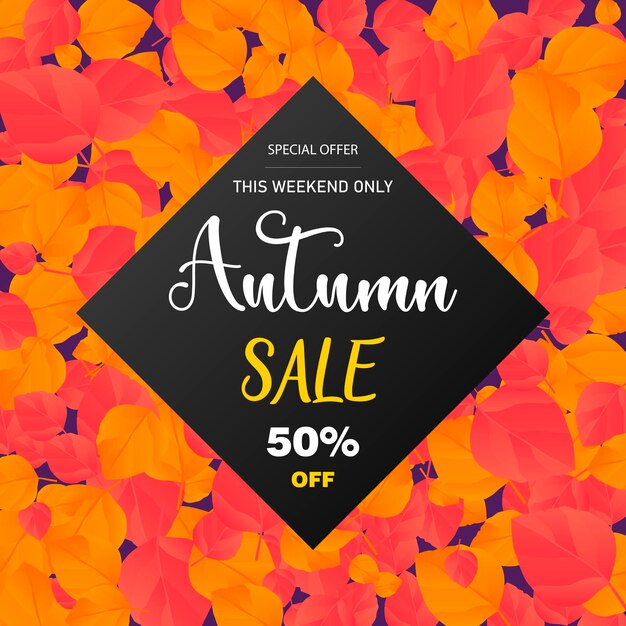 Autumn sale poster or September shopping promo banner for autumnal discount. Poster, card, flyer