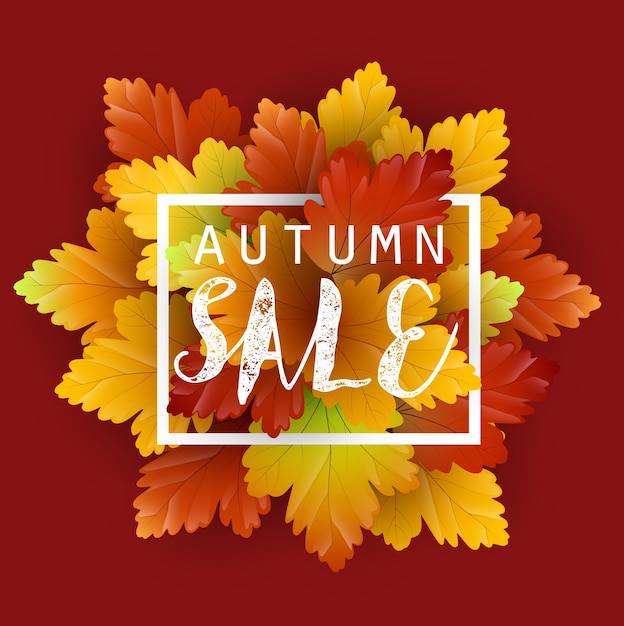 Autumn sale round background with dried maple leaves