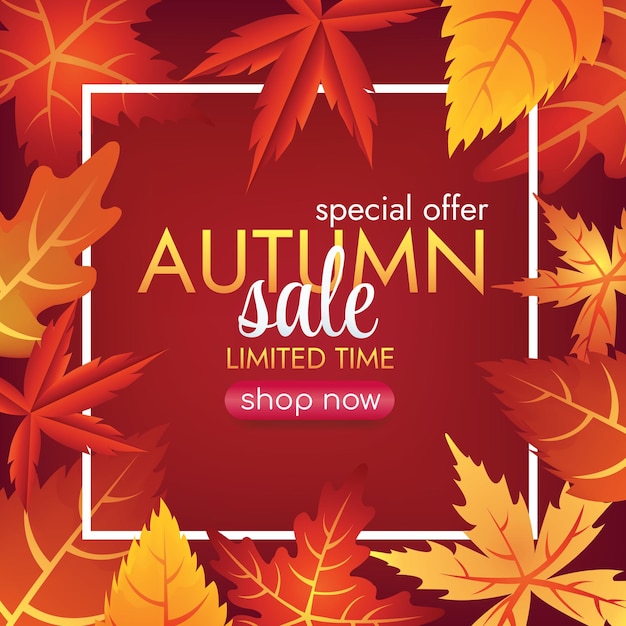 autumn sale season banner