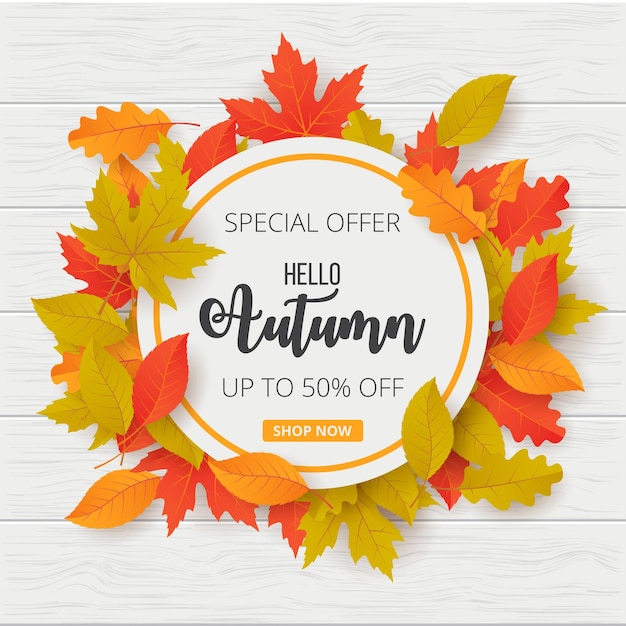 autumn sale template banner vector