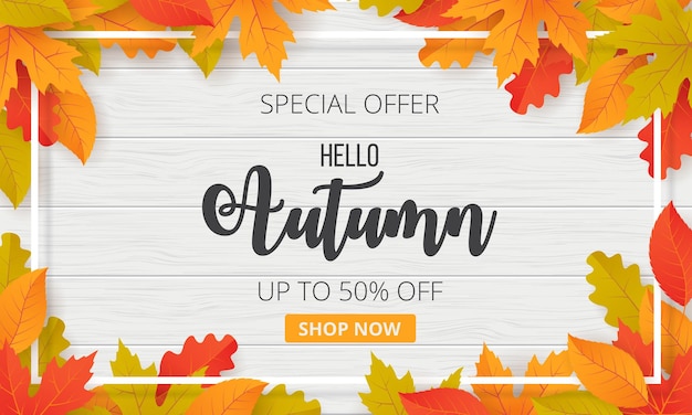 Vector autumn sale template banner vector
