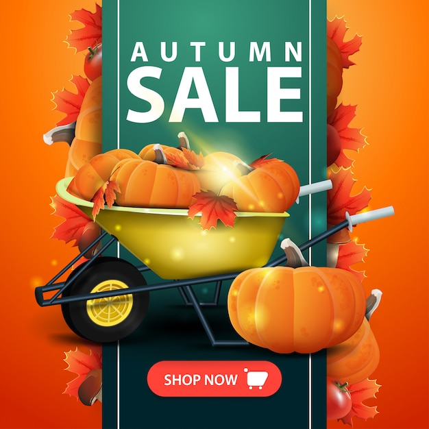 Autumn sale web banner with ribbon