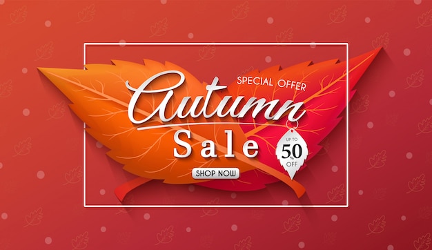 Vector autumn sales banner design with colorful seasonal fall leaves and concept autumn advertising.