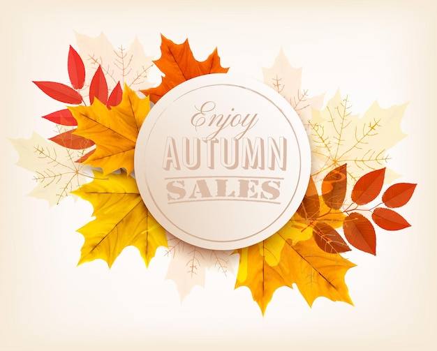 Vector autumn sales banner. vector.