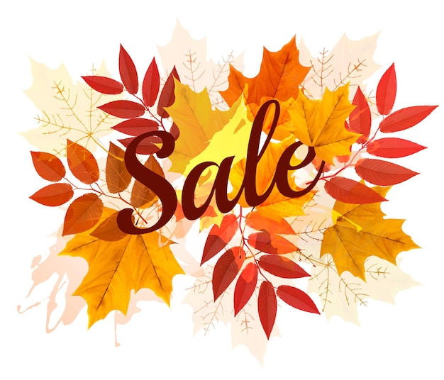 Autumn Sales banner with colorful leaves. Vector.