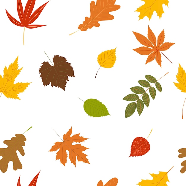 Autumn seamless background leaves pattern vector