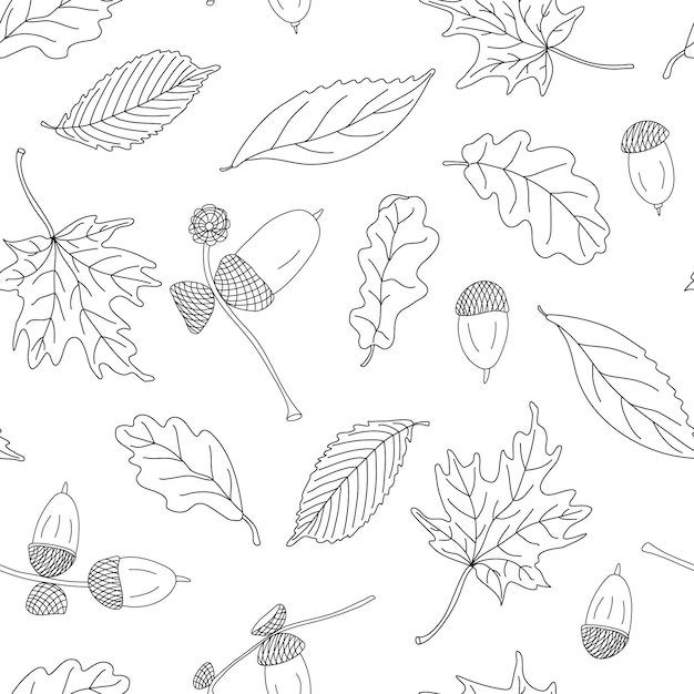 Autumn seamless pattern with different leaves and acorns on white background