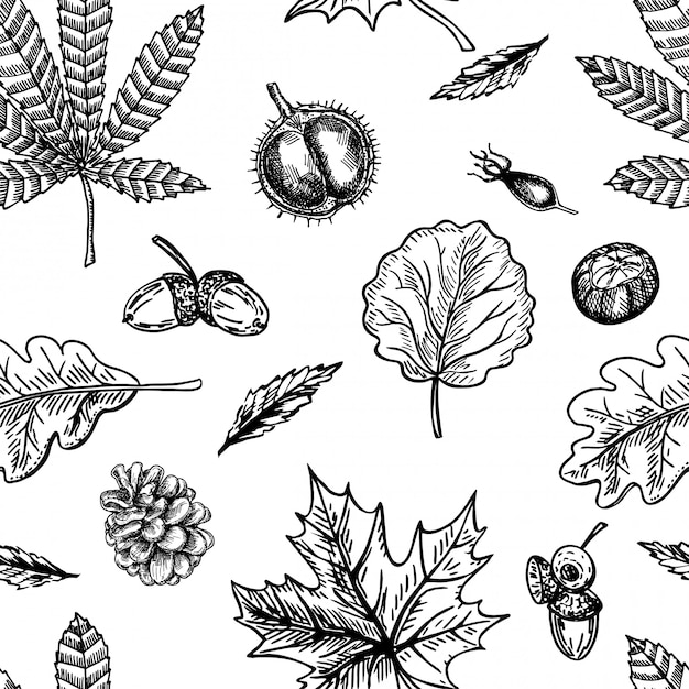 Осенний бесшовный образец с листом, осенним фоном листа. симпатичный фон листопад. осенние листья, шишки, каштаны, желуди и ягоды. элегантный шаблон для модных принтов. ,