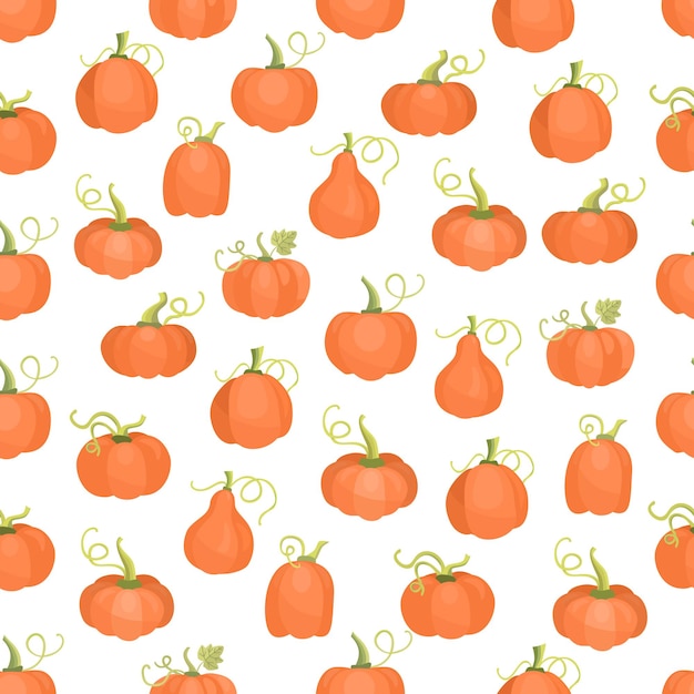 Autumn seamless patterns with pumpkins on white background