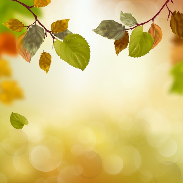 autumn season background