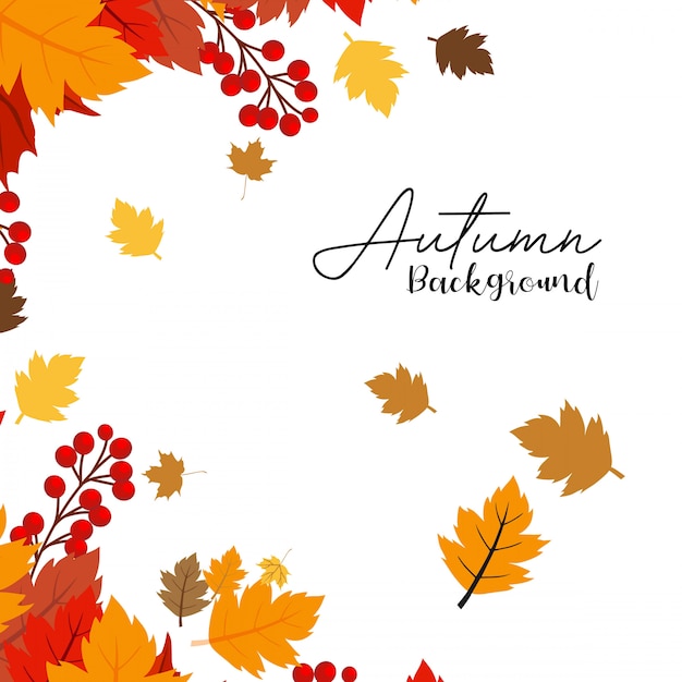 Autumn season design with light background vector