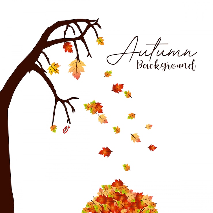 Vector autumn season design with light background vector