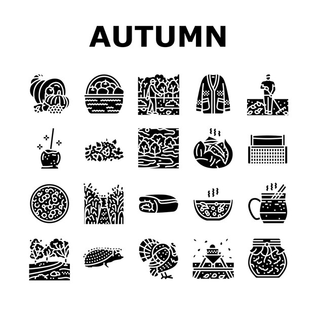 Autumn season fall leaf nature icons set vector