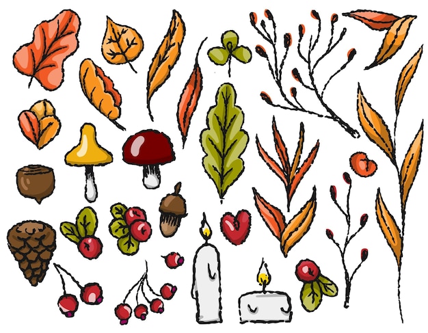 Autumn set of autumn elements on a transparent background line drawn with a brush for packaging and textile design Vector graphics Leaves mushrooms berries candles branches