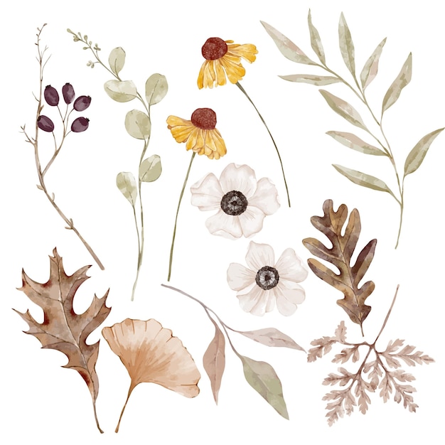 Vector autumn set of different flowers and leaves