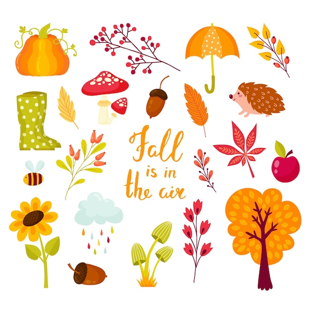 Autumn set of elements in the cartoon style. collection of autumnal branches, berries, animals and mushrooms. vector illustration in yellow, red and orange colors