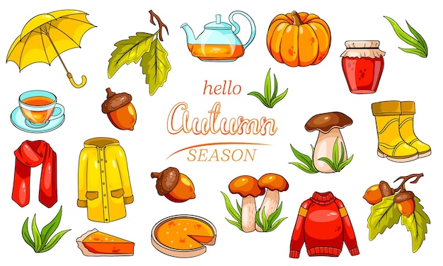 Autumn set. Large collection of autumn items. Pumpkin, tea, raincoat, scarf, boots, mushrooms, acorns in cartoon style. Vector illustration for design and decoration.