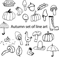 Autumn set of line art.  autumn big collection with mushroom, pumpkin