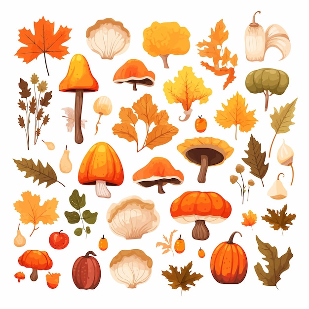 Вектор autumn_set_pumpkins_mushrooms_acorns_rowan вектор