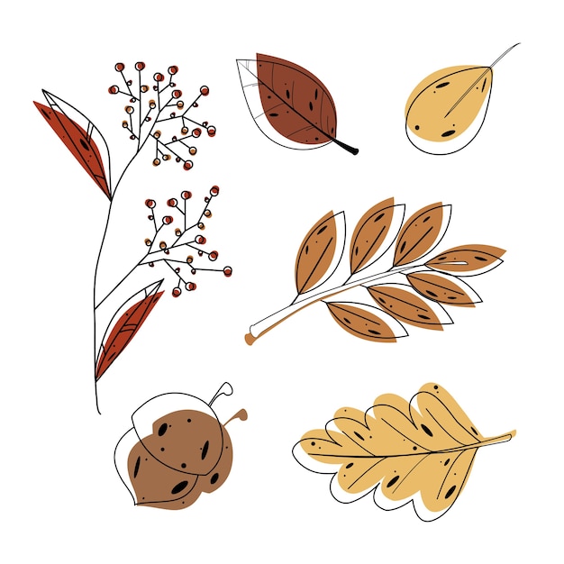 autumn set with leaves, isolated on white background.