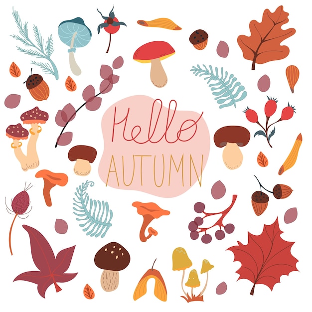 Vector autumn set with mushrooms leaves acorns and berries fall vector collection