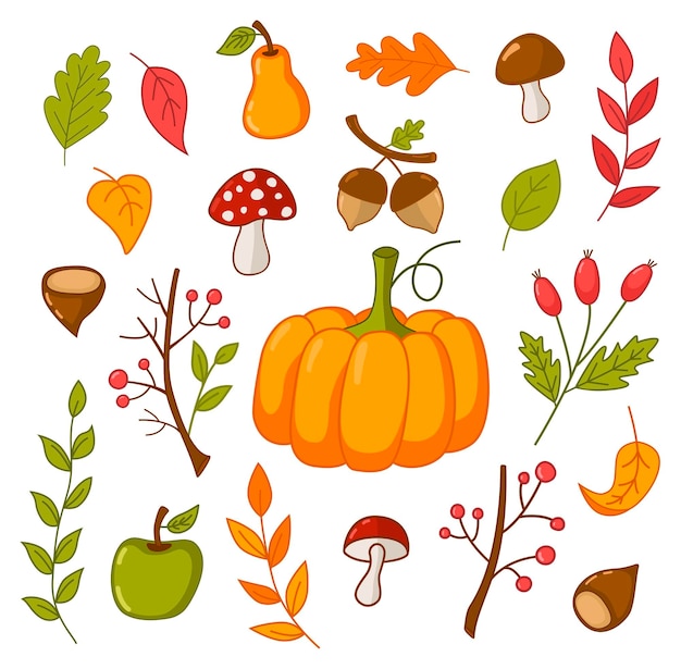秋のカボチャ、リンゴ、山の灰、ローズヒップ、キノコのセット