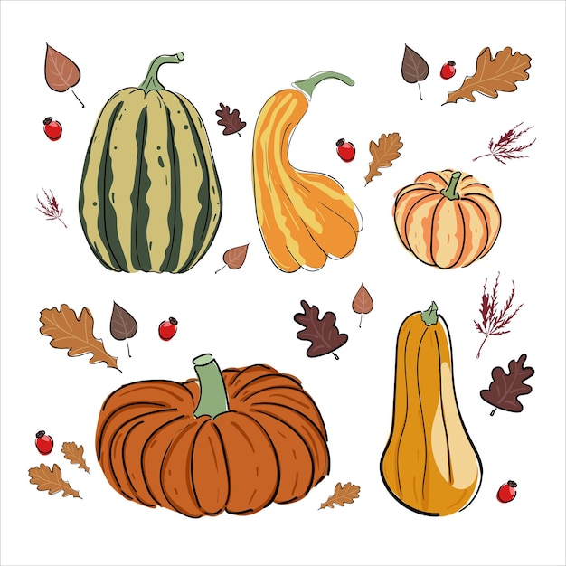 Autumn set with pumpkins and leaves