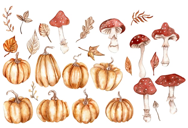 autumn set with pumpkins and mushrooms