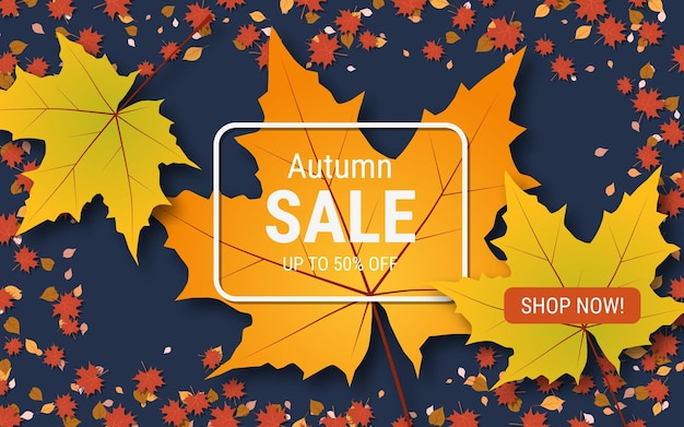 Vector autumn style elegant vector background