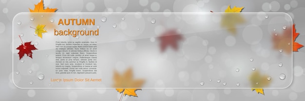 Autumn style vector banner template. abstract blurred background with colorful leaves, glass billboard and glassmorphism effect