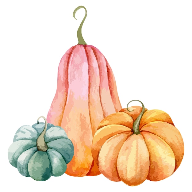 Autumn Thanksgiving Watercolor Pumpkins arrangement on white background