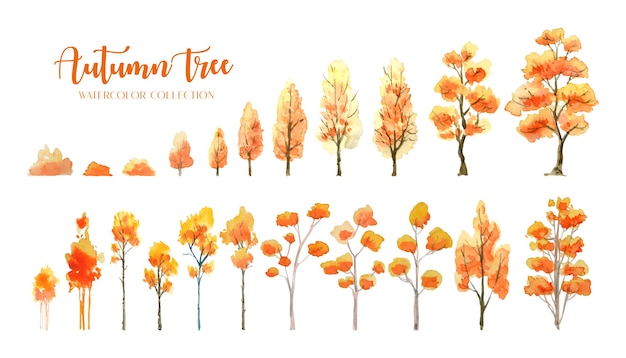 Autumn Tree and bush watercolor painting collection.