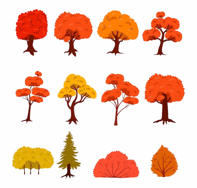 Autumn Tree Collection