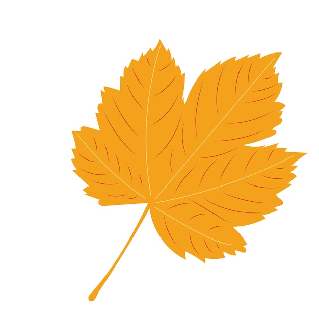 Autumn tree leaves in flat design isolated vector