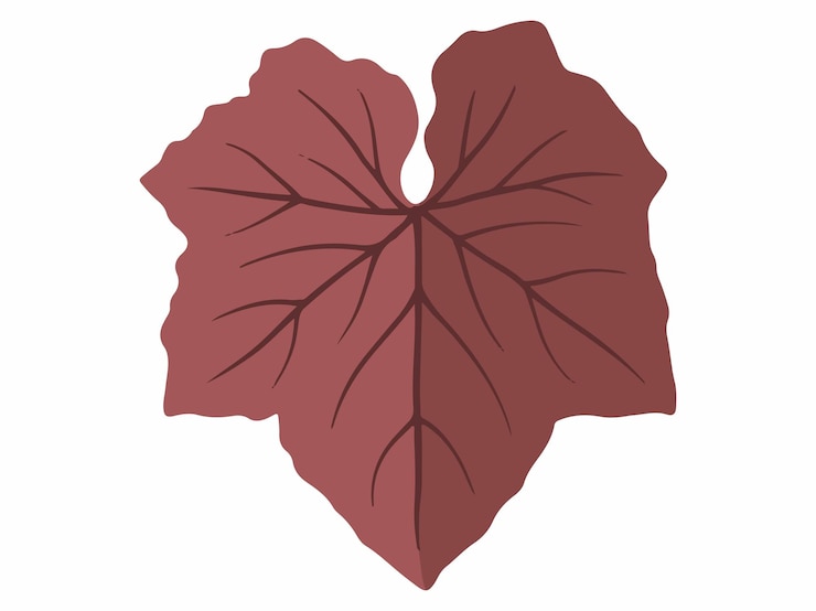 Vector autumn tree leaves illustration