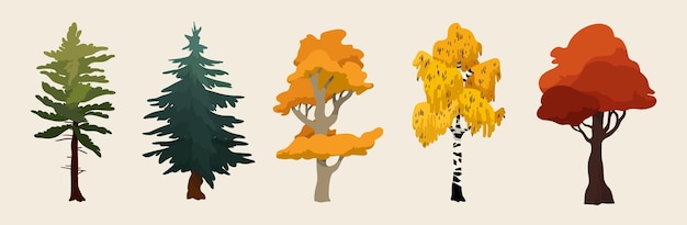 Autumn trees forest. oak, spruce, and birch