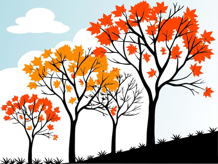 Vector autumn trees orange amp yellow maple leaves minimalist vector illustration