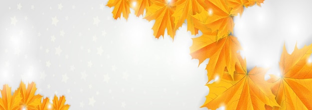 Banner vettoriali autunnali sfondo colorato di foglie di autunno