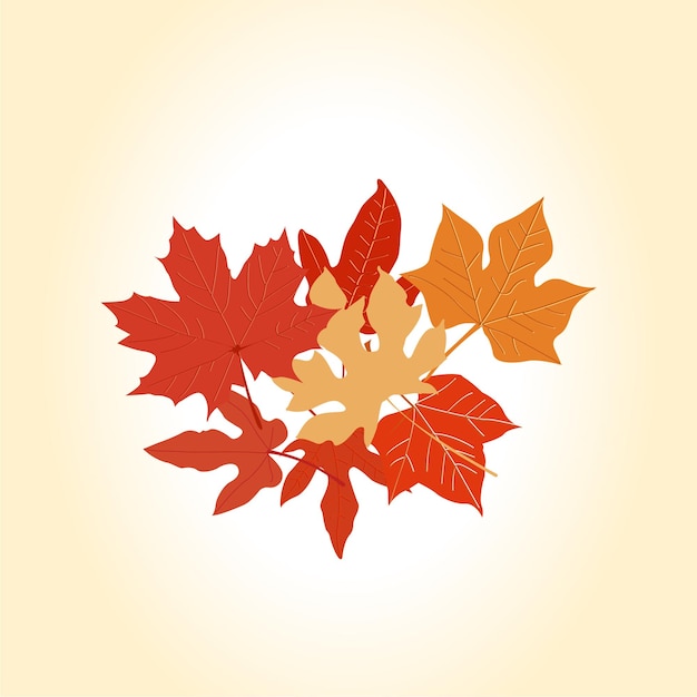 Autumn vector illustrations