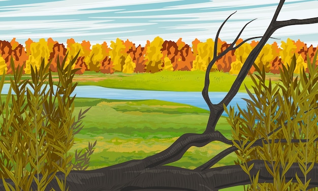 Autumn vector landscape meadow and river autumn forest and bush realistic landscape