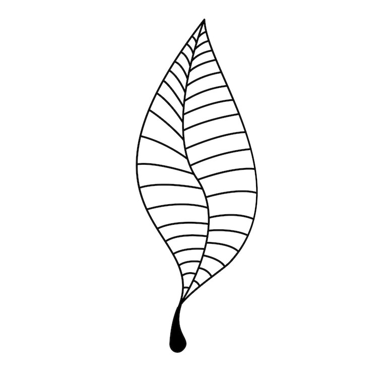 Vector autumn vector line hand drawn leaves eps10